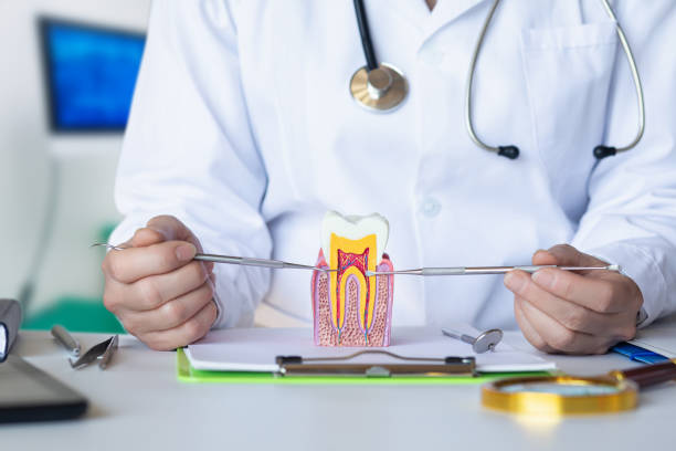  South Rosemary, NC Emergency Dentist Pros